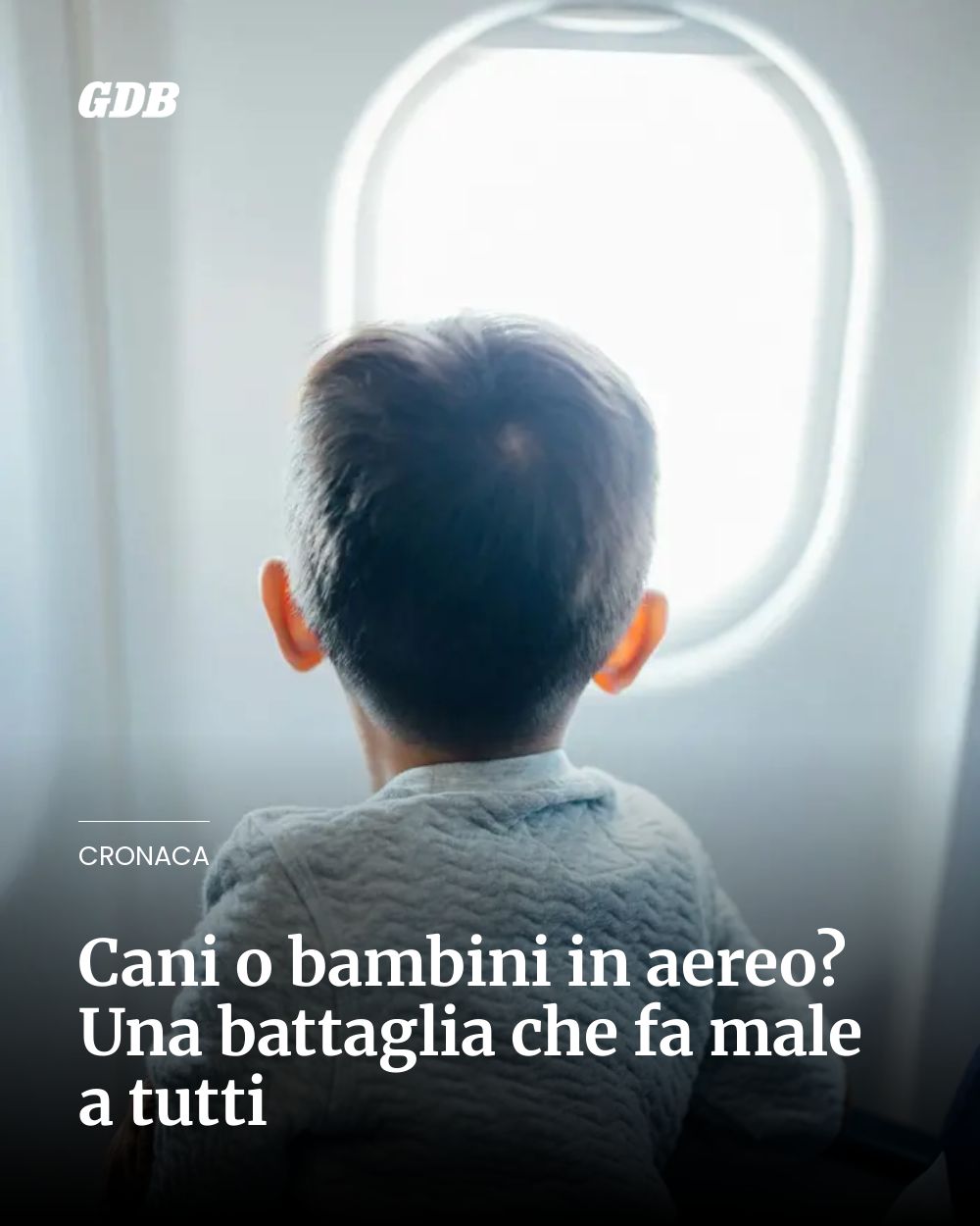 Post Instagram @giornaledibrescia: Cani o bambini in aereo? Una battaglia che fa male a tutti...