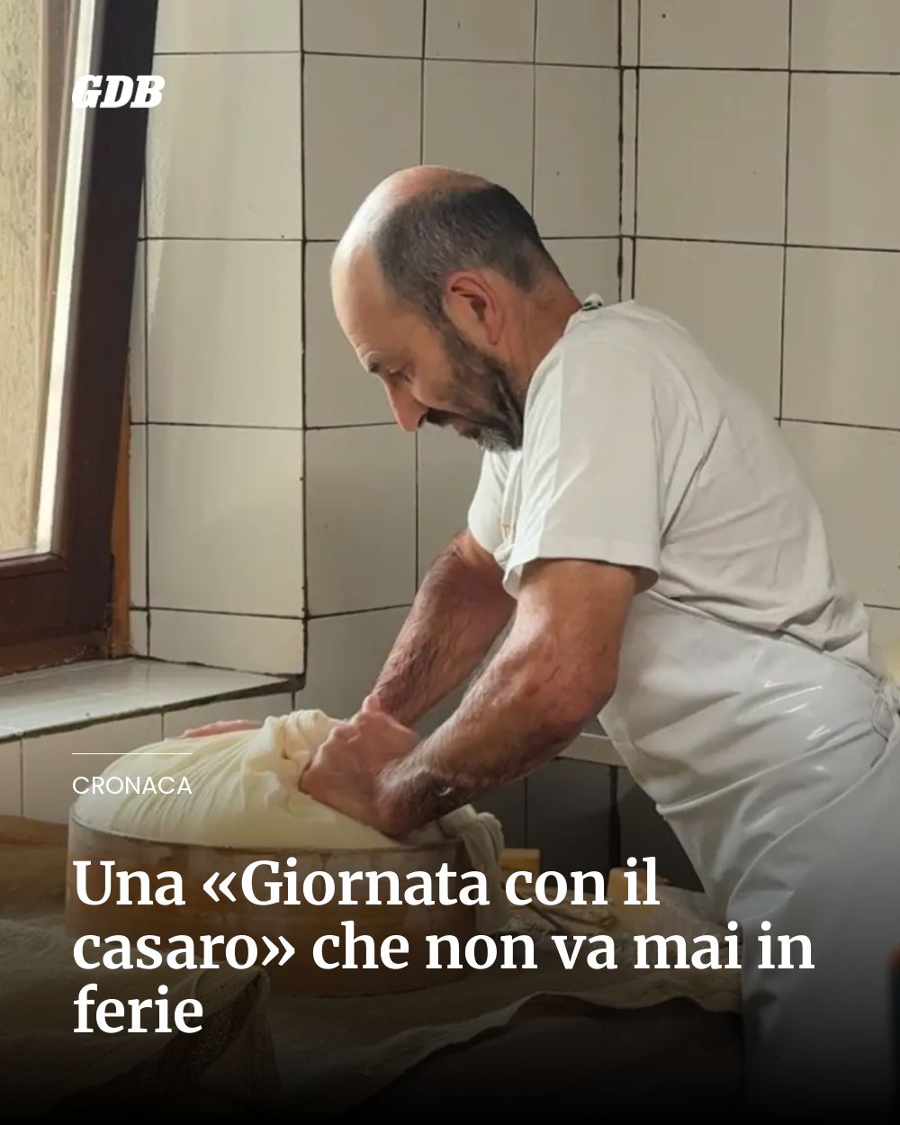 Post Instagram @giornaledibrescia: Una «Giornata con il casaro» che non va mai in ferie...