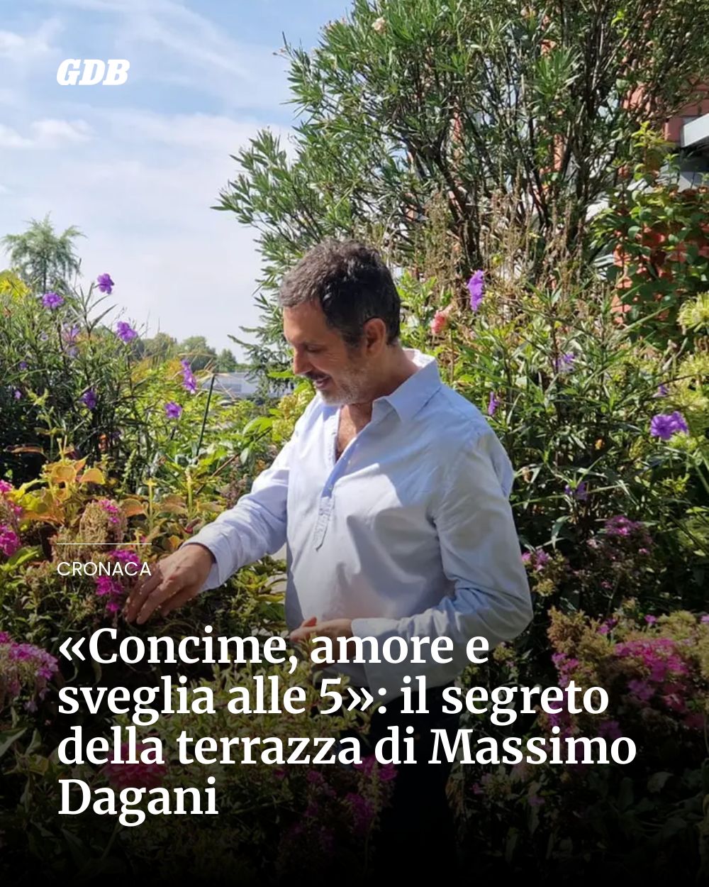 Post Instagram @giornaledibrescia: «Concime, amore e sveglia alle 5»: il segreto della terrazza di Massimo Dagani...