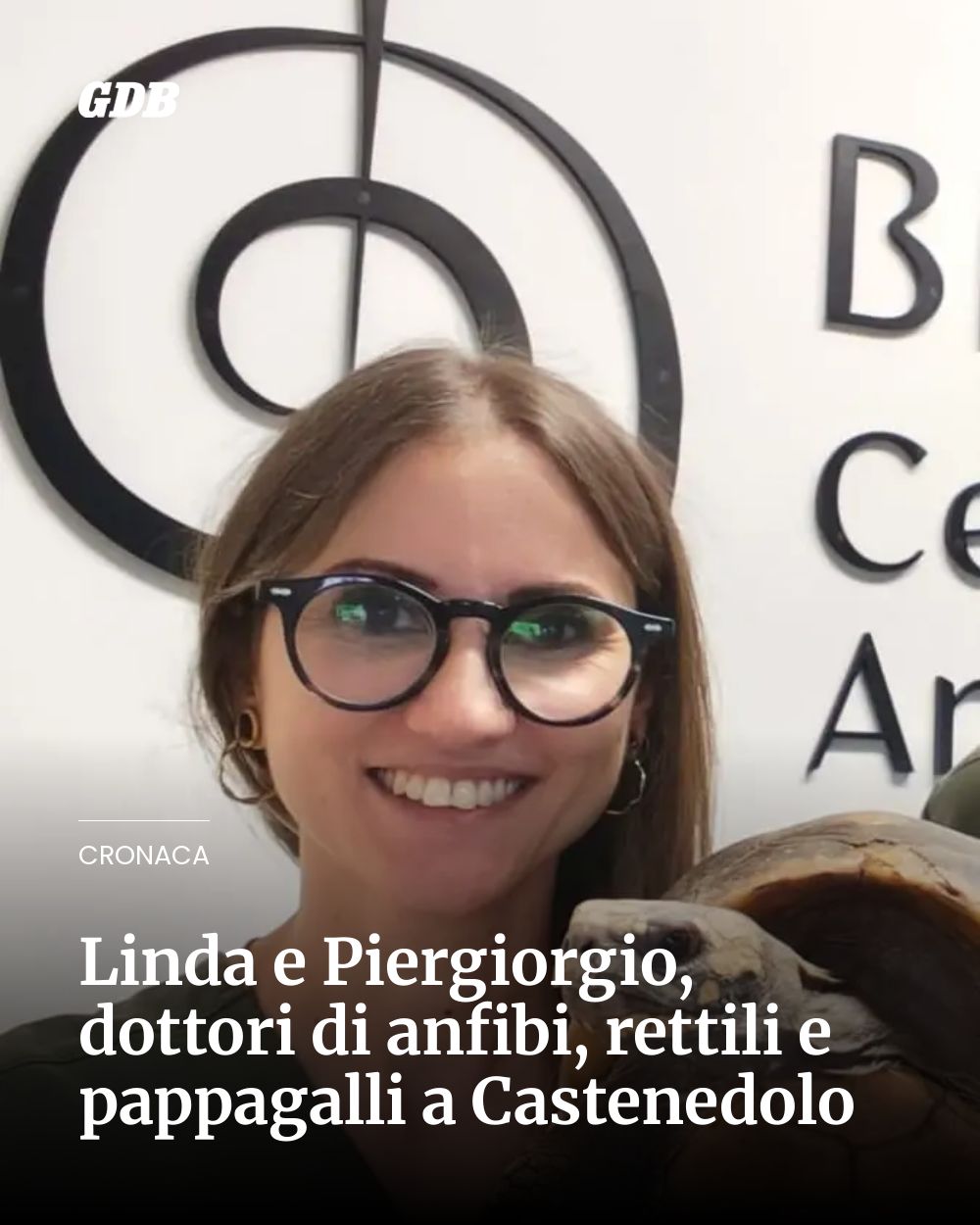 Post Instagram @giornaledibrescia: Linda e Piergiorgio, dottori di anfibi, rettili e pappagalli a Castenedolo...