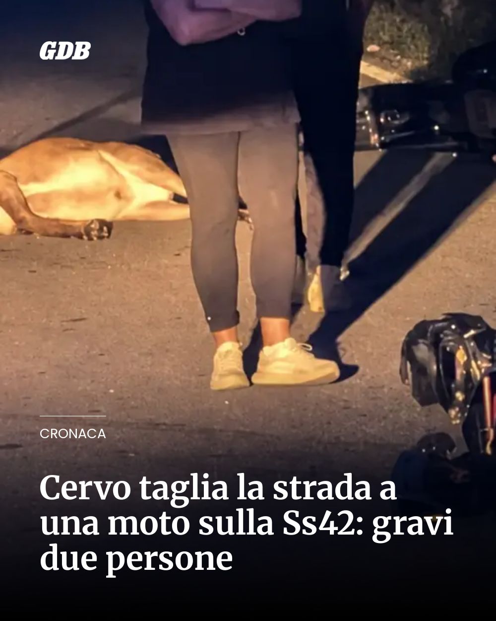 Post Instagram @giornaledibrescia: Cervo taglia la strada a una moto sulla Ss42: gravi due persone...
