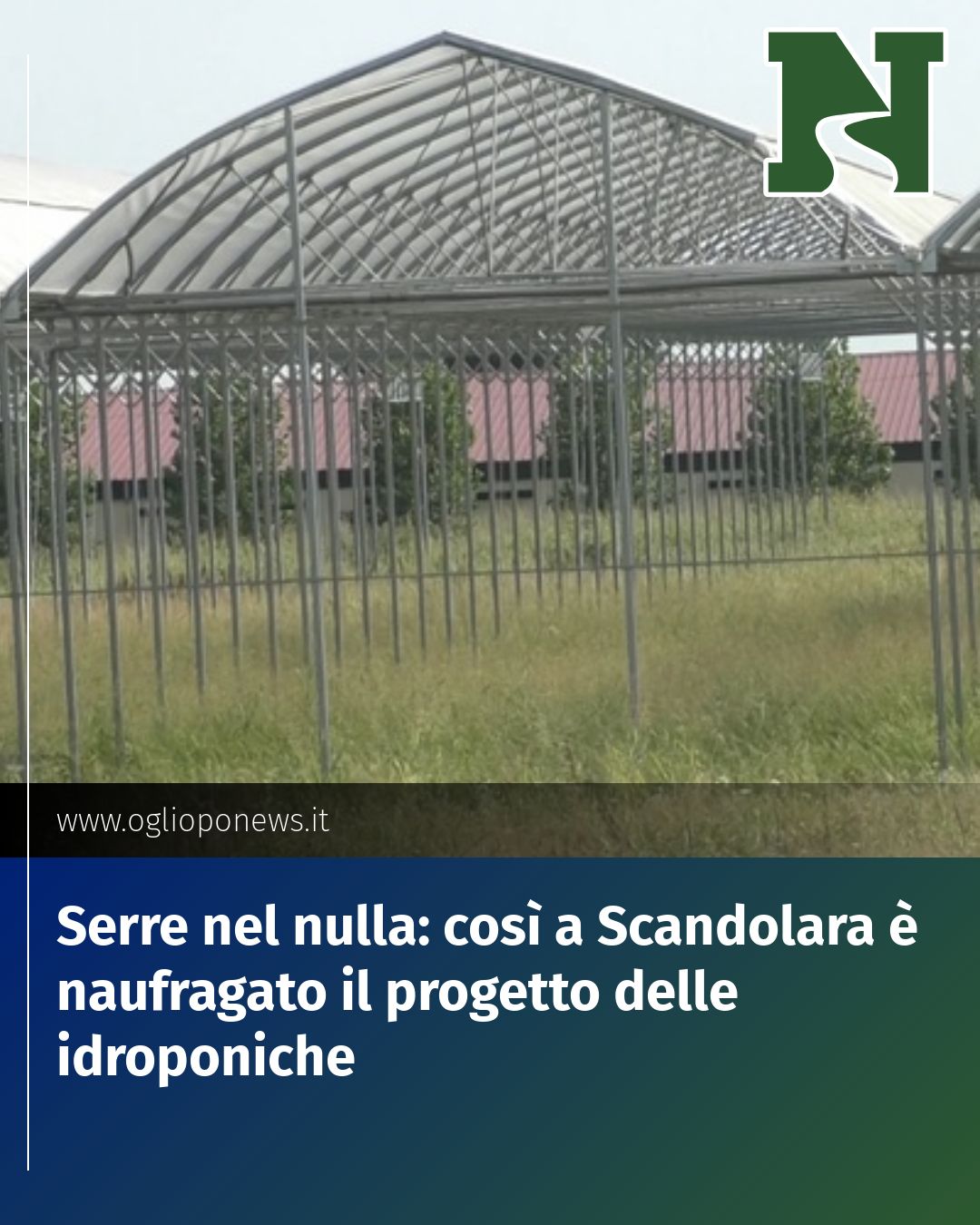 Post Instagram @redazione@oglioponews.it: Serre nel nulla: così a Scandolara è naufragato il progetto delle idroponiche...