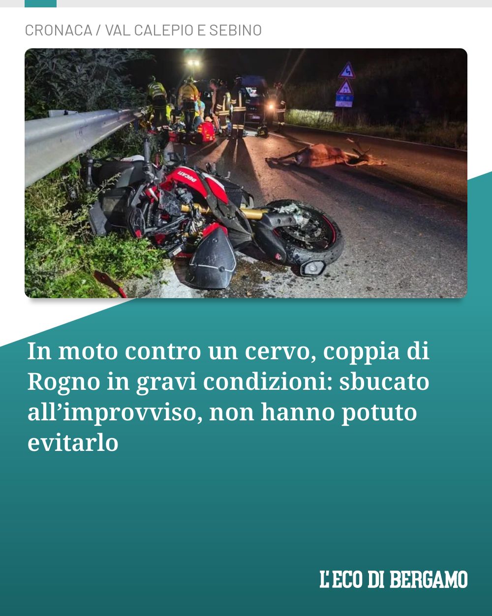 Post Instagram @ecodibergamo: In moto contro un cervo, coppia di Rogno in gravi condizioni: sbucato all’improvviso, non hanno potu