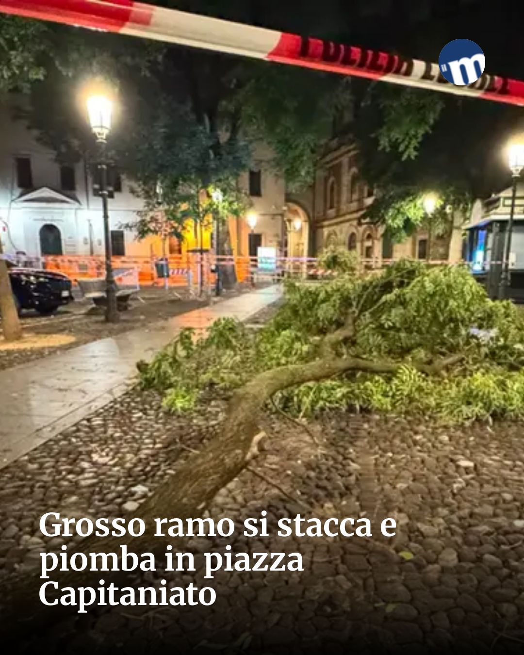 Post Instagram @socialbeat.test: Grosso ramo si stacca e piomba in piazza Capitaniato...