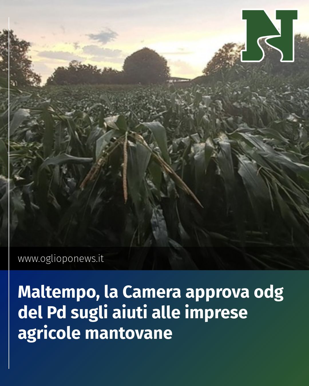 Maltempo, la Camera approva odg del Pd sugli aiuti alle imprese agricole mantovane...