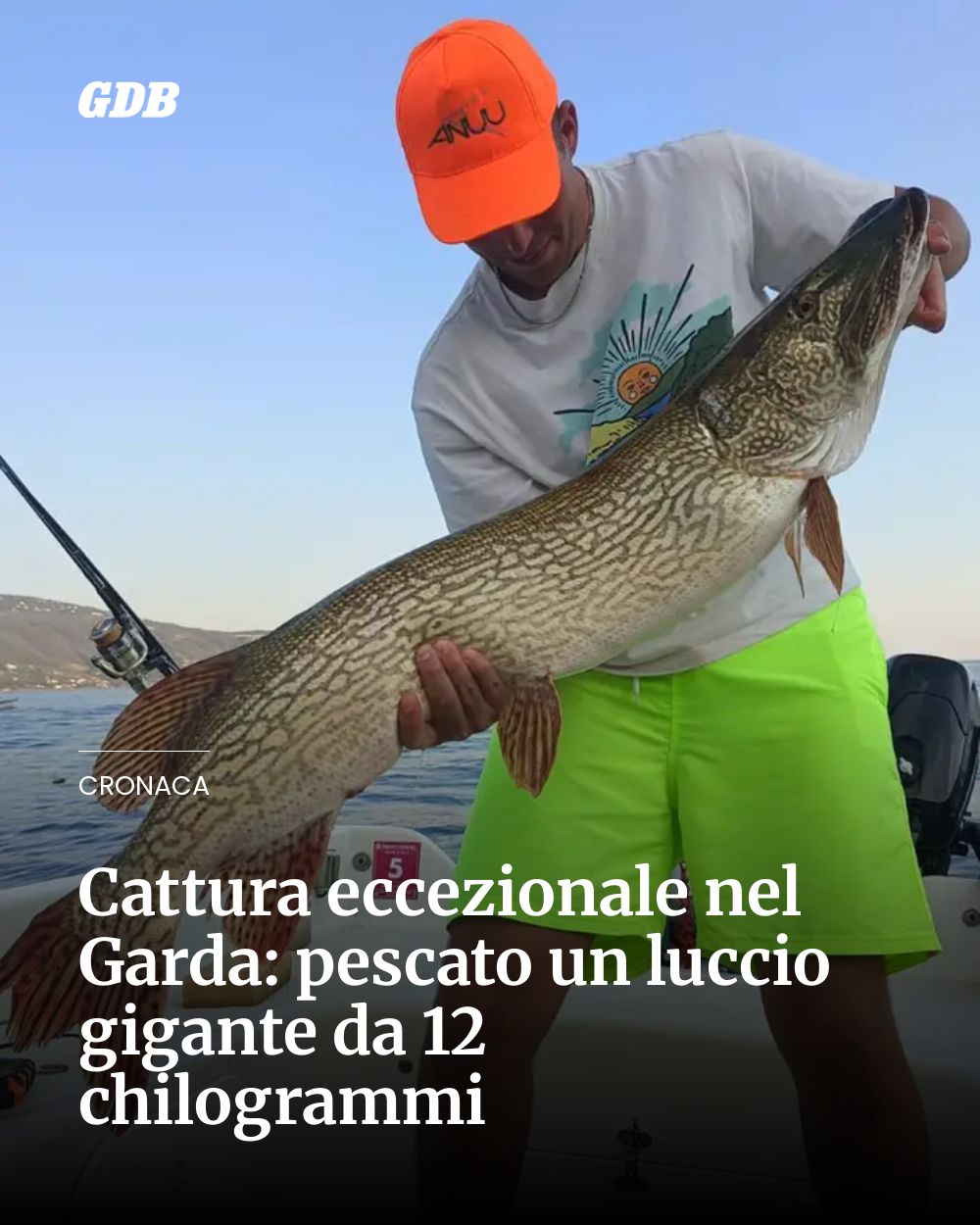 Post Instagram @giornaledibrescia: Cattura eccezionale nel Garda: pescato un luccio gigante da 12 chilogrammi...