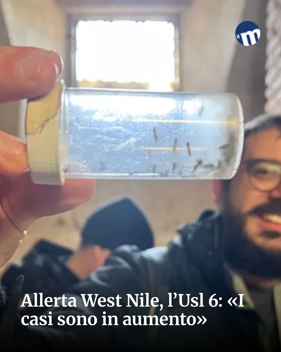 Post Instagram @socialbeat.test: Allerta West Nile, l’Usl 6: «I casi sono in aumento»...
