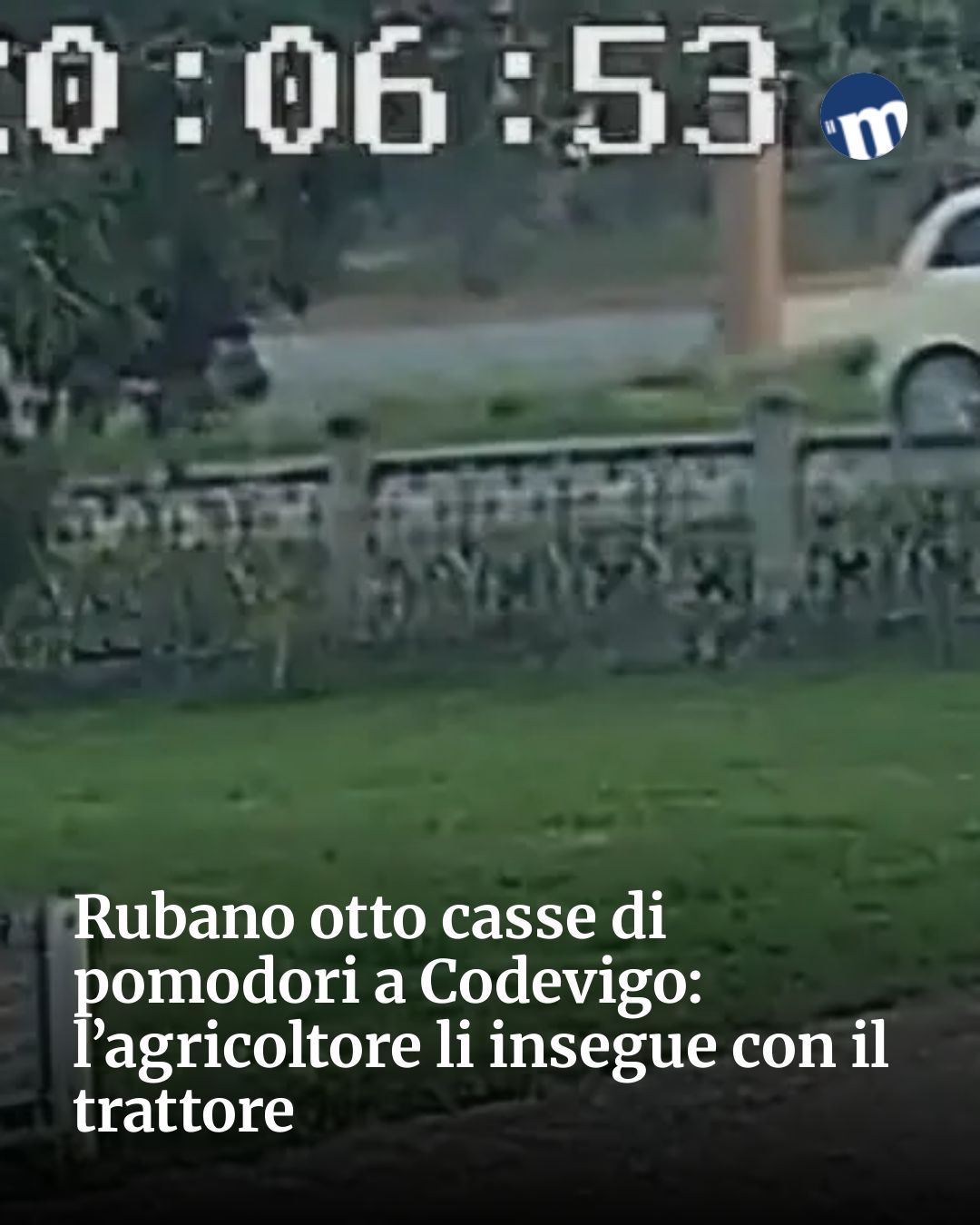 Post Instagram @socialbeat.test: Rubano otto casse di pomodori a Codevigo: l’agricoltore li insegue con il trattore...