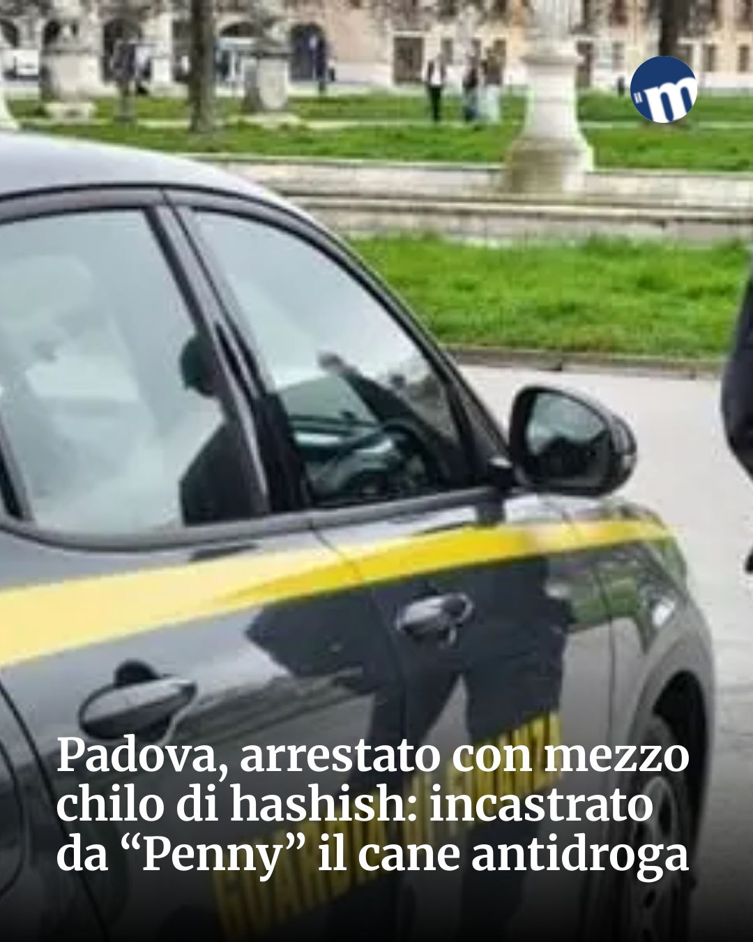 Post Instagram @socialbeat.test: Padova, arrestato con mezzo chilo di hashish: incastrato da “Penny” il cane antidroga...
