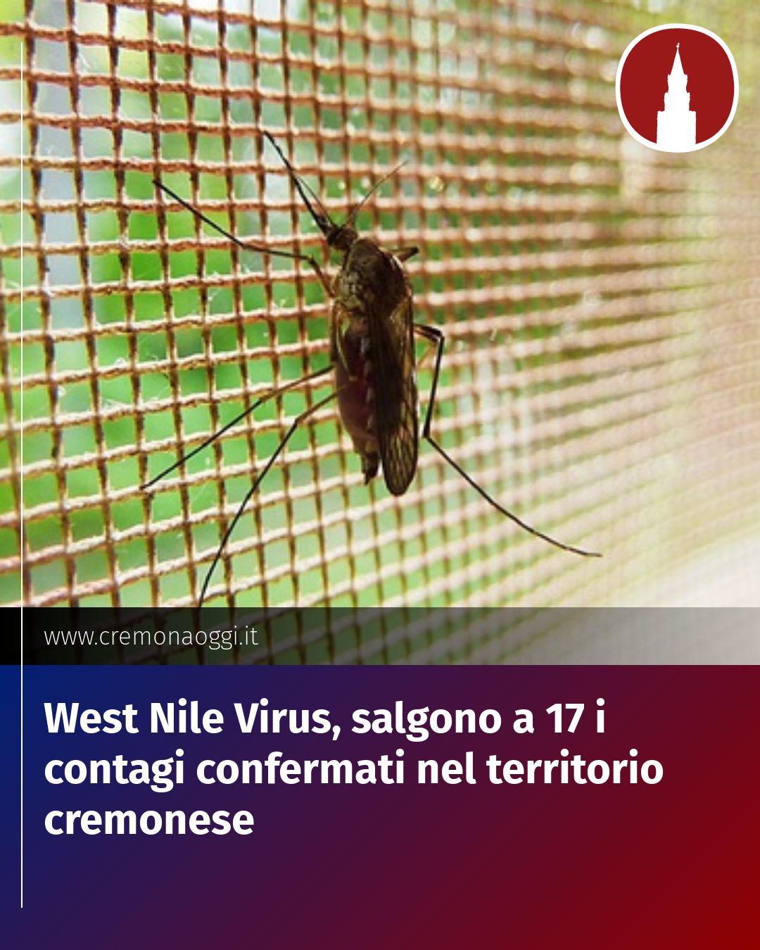 Post Instagram @Cremona_Oggi: West Nile Virus, salgono a 17 i contagi confermati nel territorio cremonese...