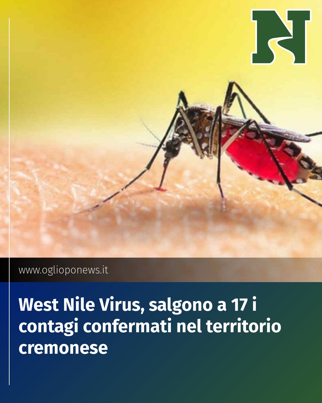 Post Instagram @redazione@oglioponews.it: West Nile Virus, salgono a 17 i contagi confermati nel territorio cremonese...