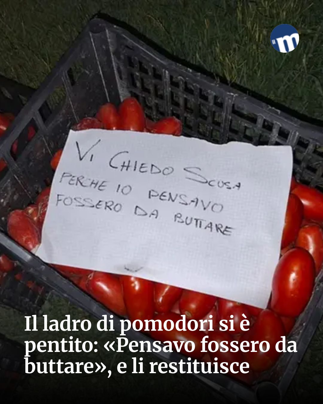 Post Instagram @socialbeat.test: Il ladro di pomodori si è pentito: «Pensavo fossero da buttare», e li restituisce...