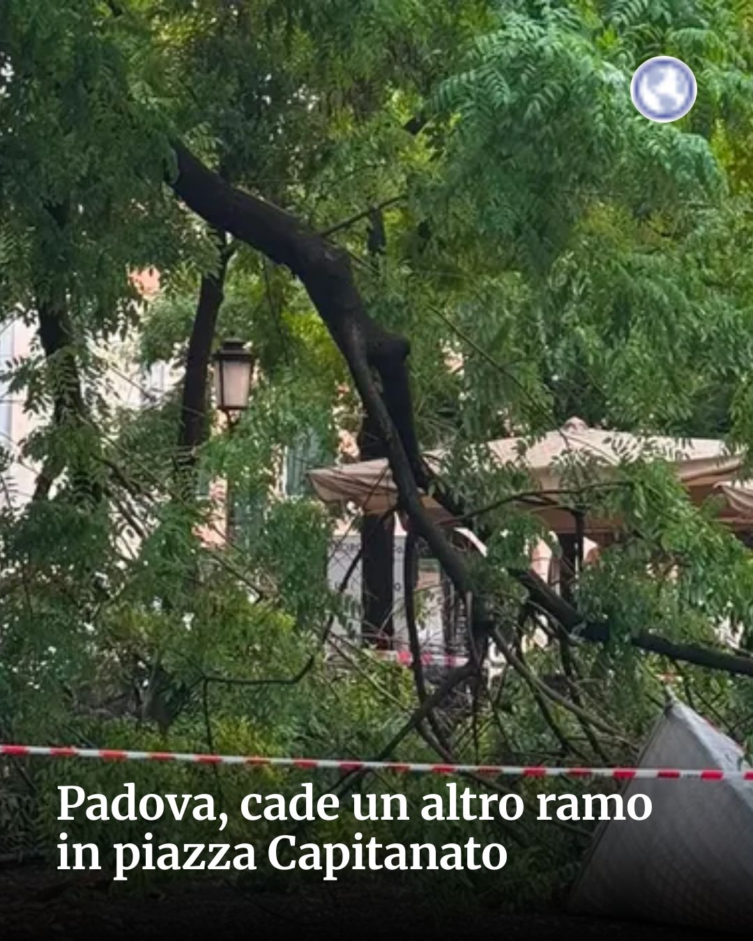 Post Instagram @socialbeat.test: Padova, cade un altro ramo in piazza Capitanato...