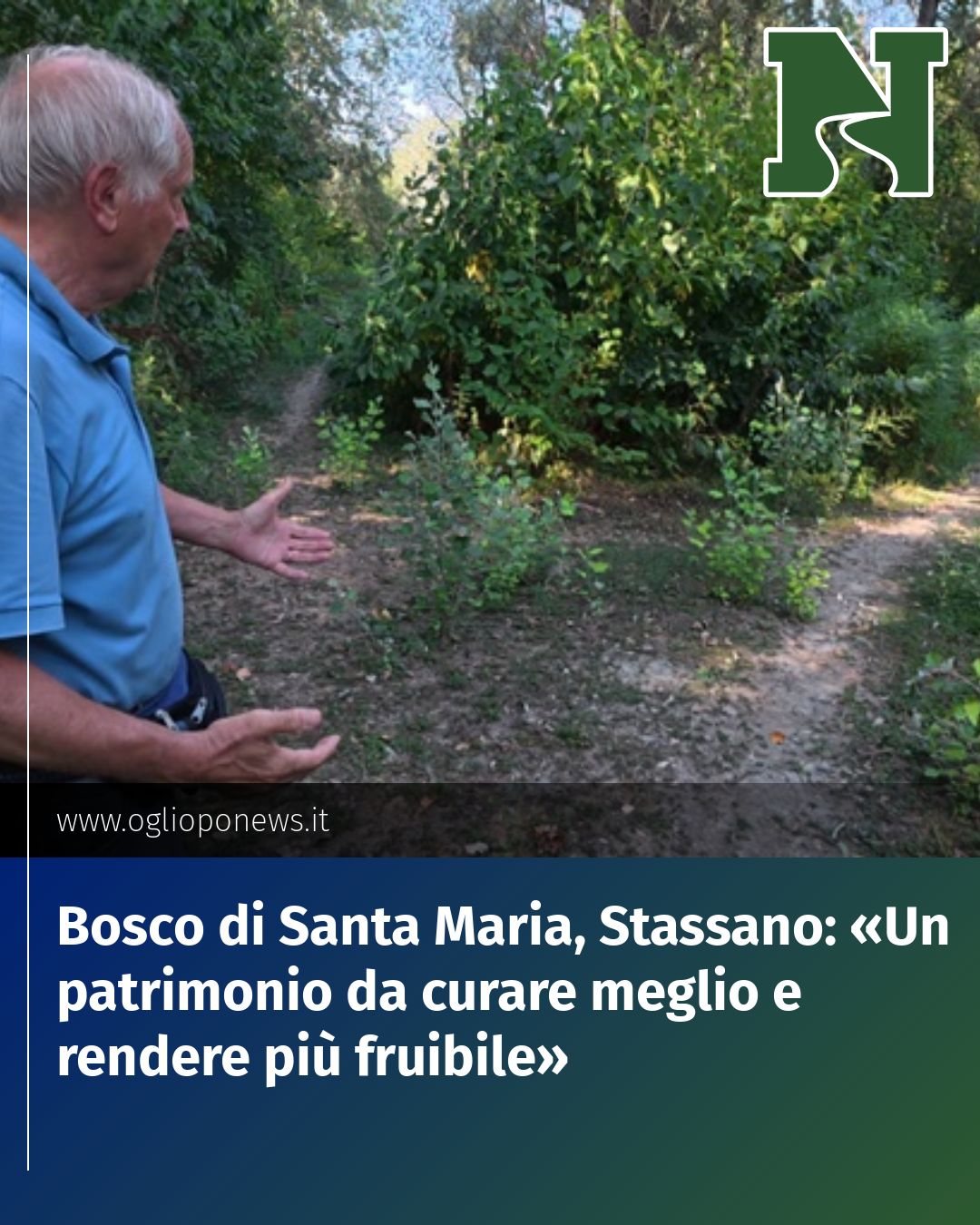 Post Instagram @redazione@oglioponews.it: Bosco di Santa Maria, Stassano: «Un patrimonio da curare meglio e rendere più fruibile»...