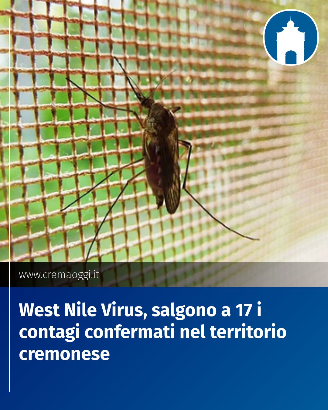 Post Instagram @redazione@cremaoggi.it: West Nile Virus, salgono a 17 i contagi confermati nel territorio cremonese...