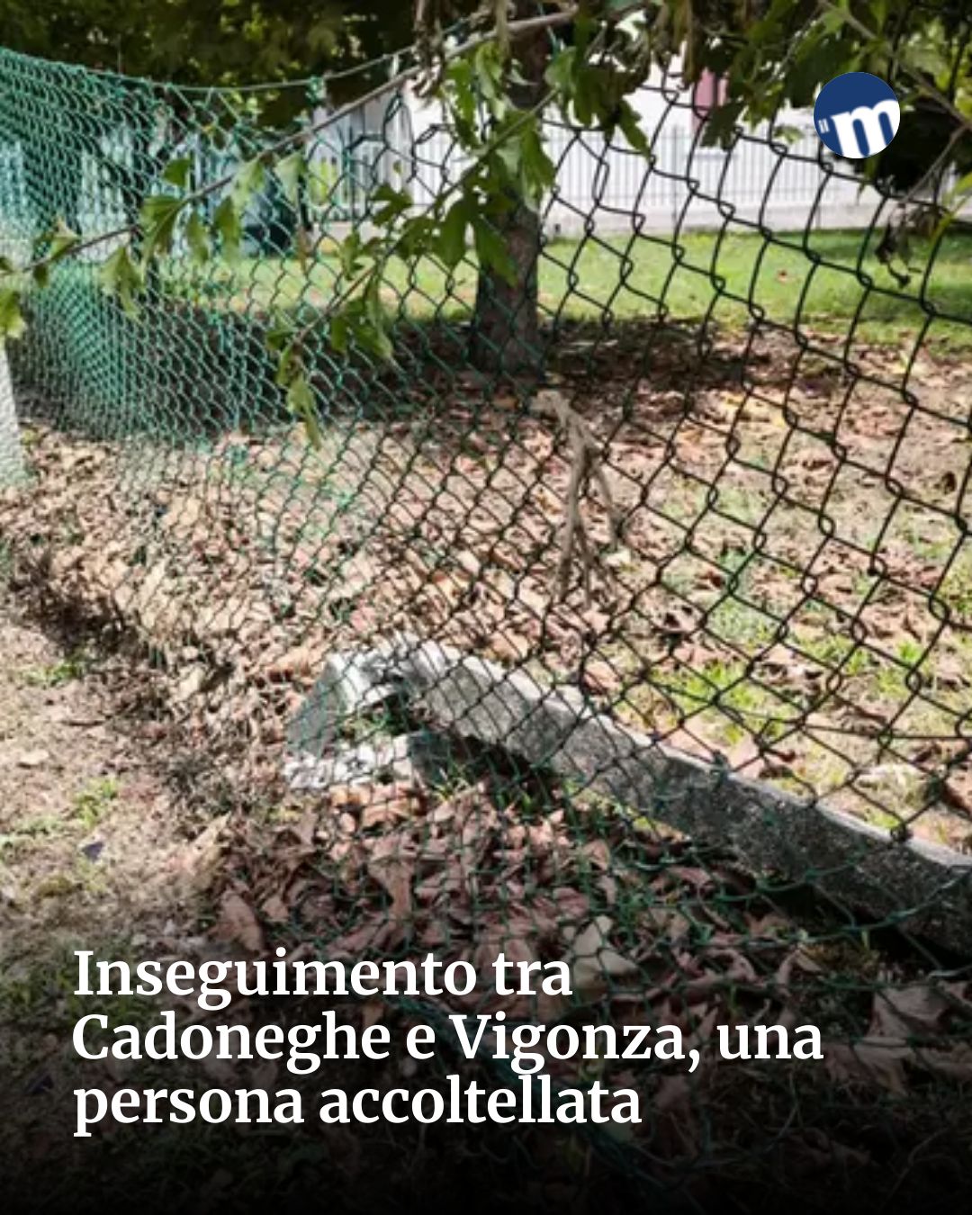 Post Instagram @socialbeat.test: Inseguimento tra Cadoneghe e Vigonza, una persona accoltellata...