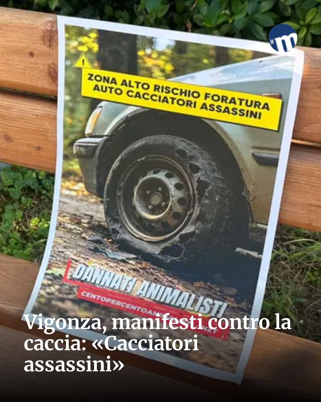 Post Instagram @socialbeat.test: Vigonza, manifesti contro la caccia: «Cacciatori assassini»...