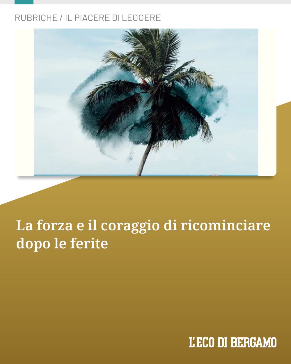 Post Instagram @ecodibergamo: La forza e il coraggio di ricominciare dopo le ferite...