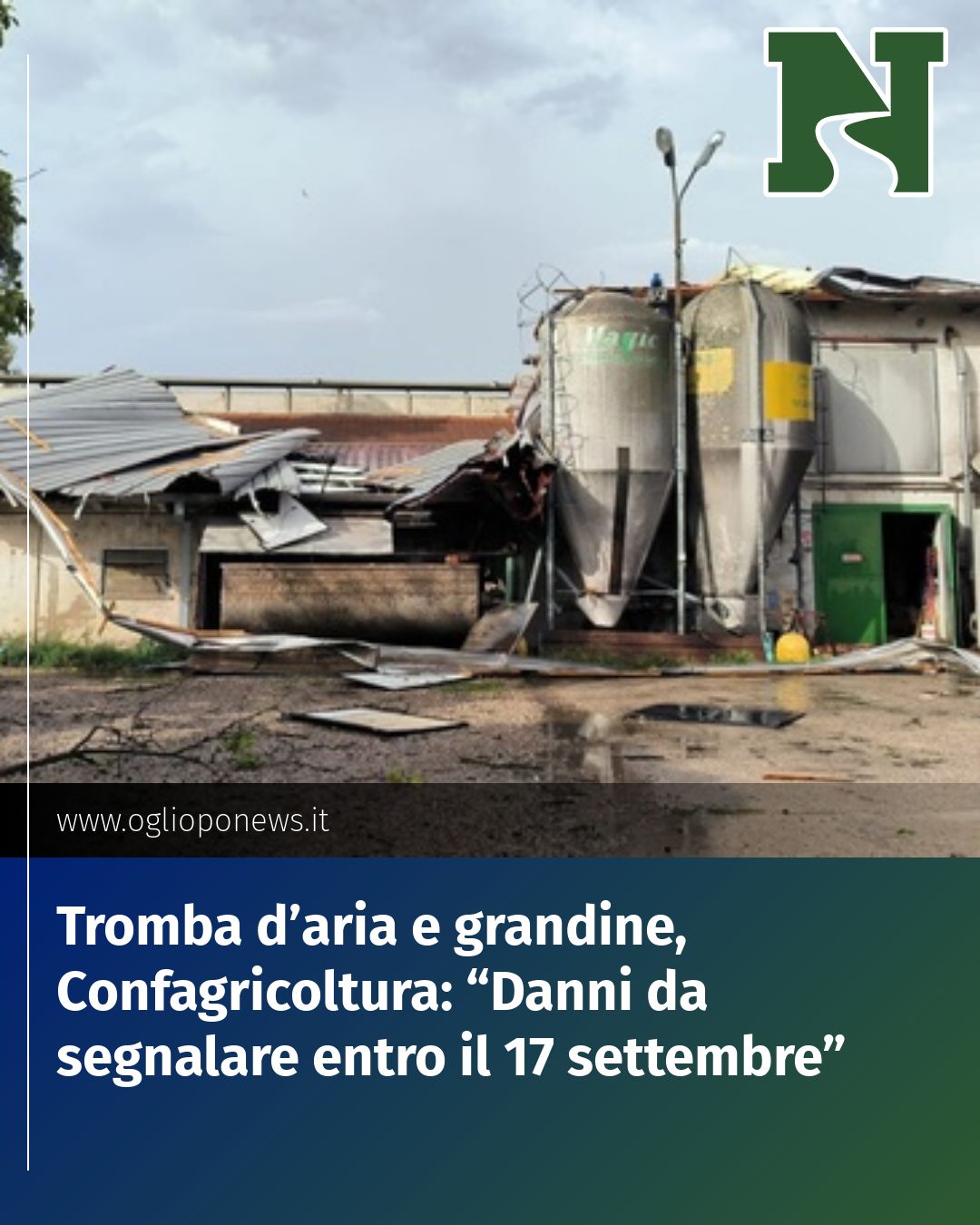 Tromba d’aria e grandine, Confagricoltura: “Danni da segnalare entro il 17 settembre”...