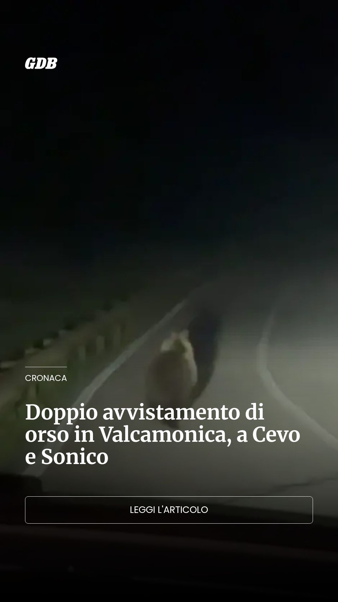 Doppio avvistamento di orso in Valcamonica, a Cevo e Sonico...