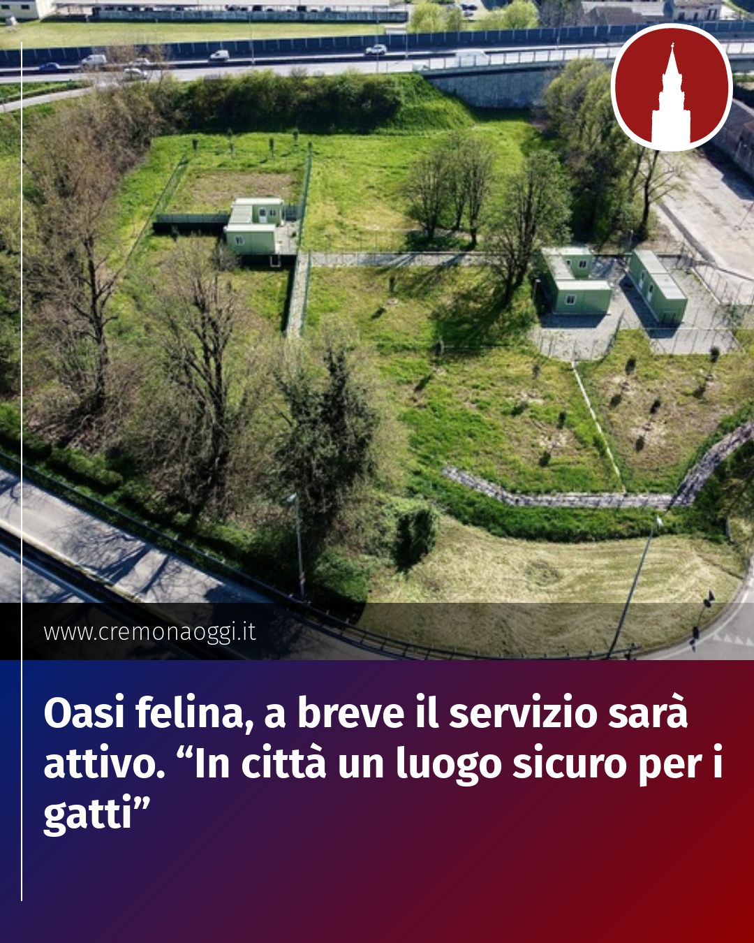 Post Instagram @Cremona_Oggi: Oasi felina, a breve il servizio sarà attivo. “In città un luogo sicuro per i gatti”...