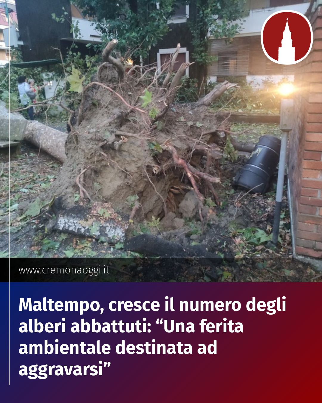 Post Instagram @Cremona_Oggi: Maltempo, cresce il numero degli alberi abbattuti: “Una ferita ambientale destinata ad aggravarsi”..