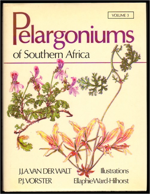 pelargoniums of southern africa auction 5 pelargoniums of southern africa auction 5