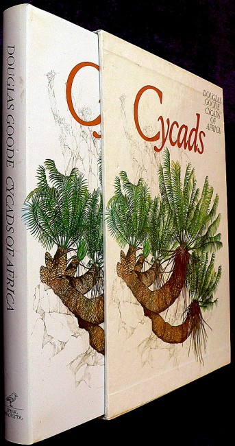 サイカス　オブ　アフリカ　Cycads of Africa ソテツ ホリダス サイカス オブ アフリカ Cycads of Africa ソテツ ホリダス - 本
