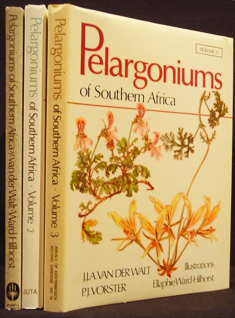 pelargoniums of southern africa auction 15 pelargoniums of southern africa auction 15