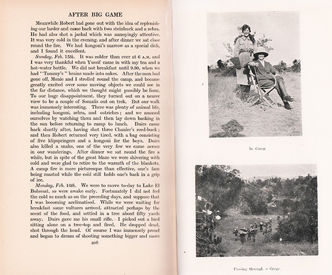 After Big Game Auction 48