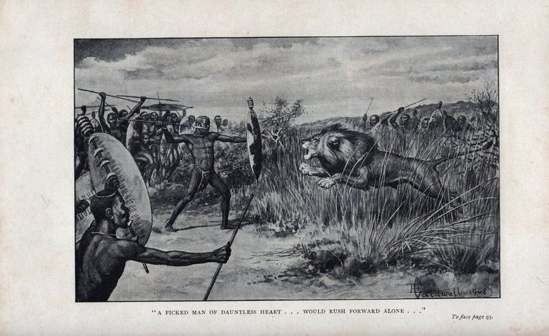 African Nature Notes And Reminiscences Auction 67 - 