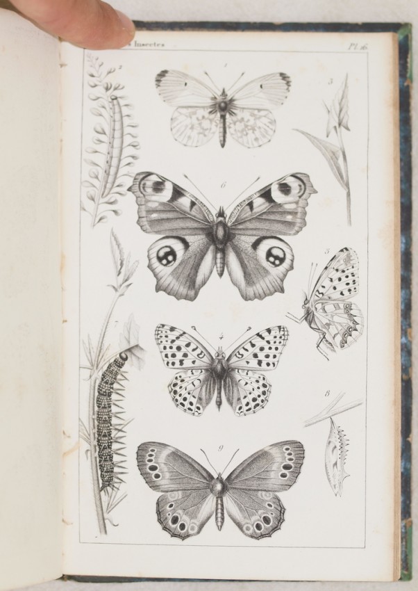 Quelle: Clarke's Africana & Rare Books Paul Mills Bild