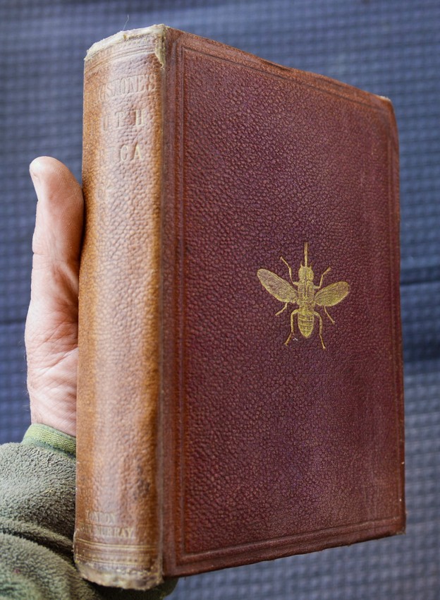 Source: Clarke's Africana & Rare Books Paul Mills Image