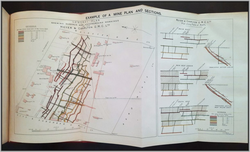 THE GOLD MINES OF THE RAND (1895)