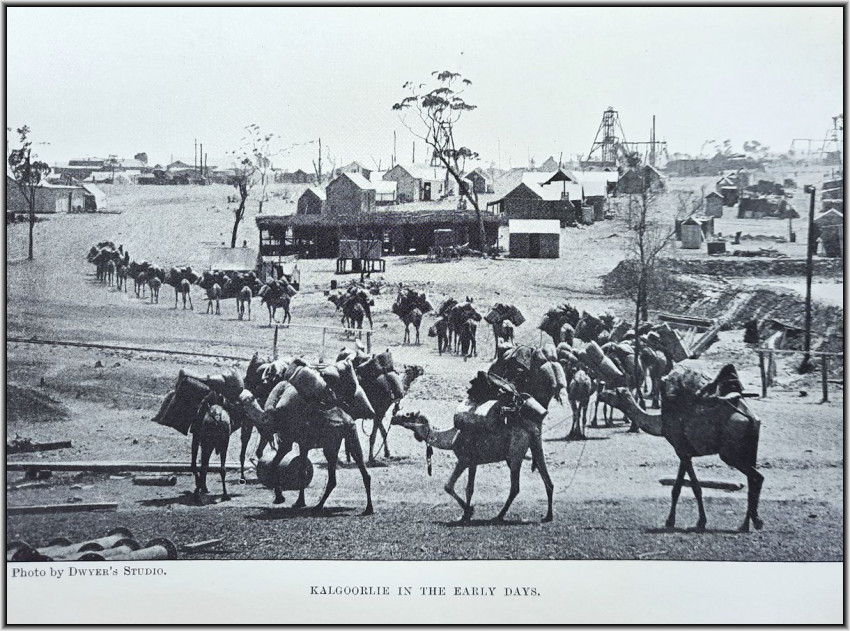 MINES AND MINERALS OF THE BRITISH EMPIRE (1908)