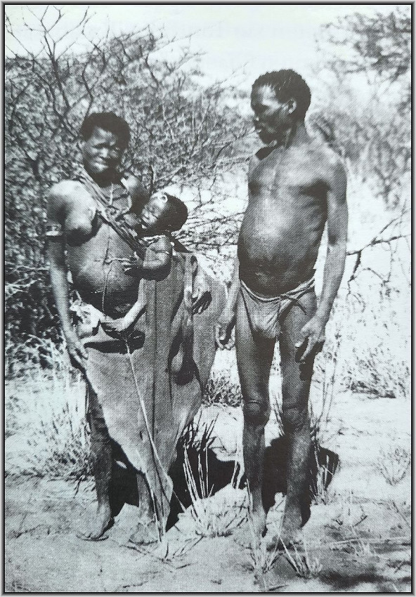 TSUMEB IN OTAVI MINING & RAILWAY COMPANY'S TIME (1997)