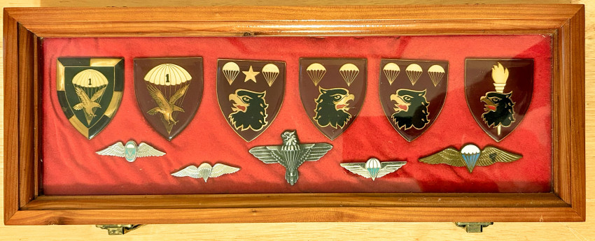 DISPLAY OF 11  SOUTH AFRICAN PARACHUTE BRIGADE BADGES