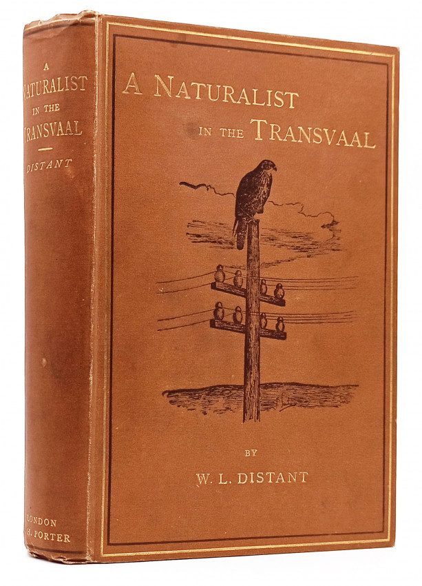 A NATURALIST IN THE TRANSVAAL