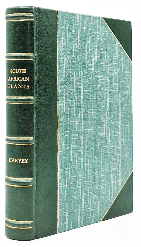 THE GENERA OF SOUTH AFRICAN PLANTS