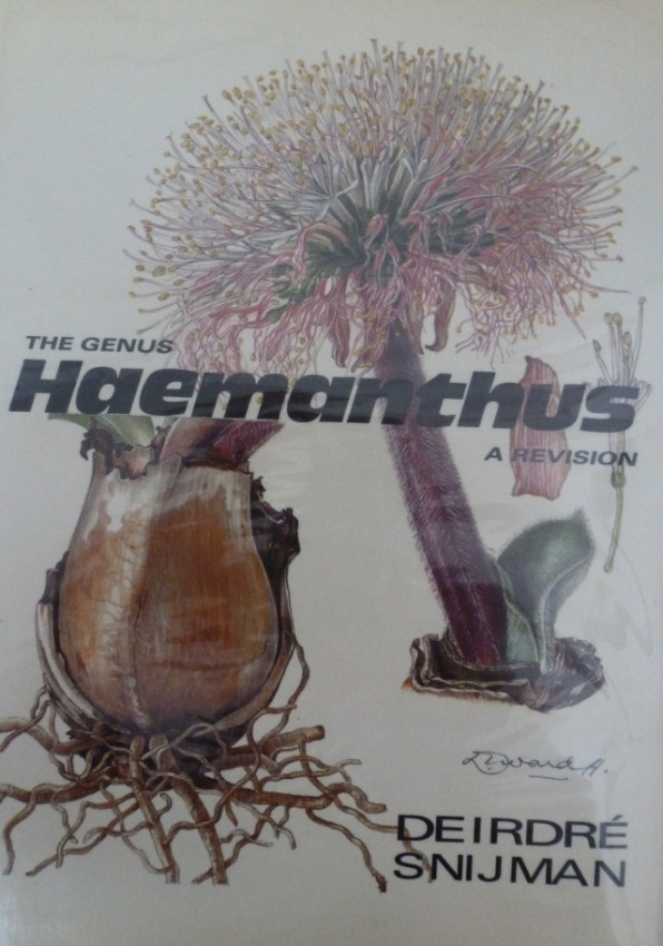THE GENUS HAEMANTHUS