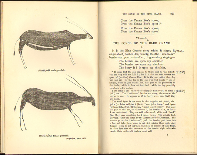 Specimens Of Bushman Folklore Auction 35