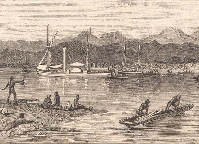 Narrative Of An Expedition To The Zambezi & Its Tributaries Auction