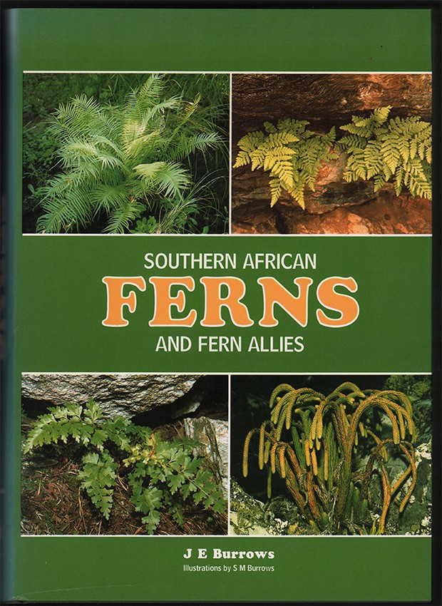 Southern African Ferns And Fern Allies - Auction #50 ...