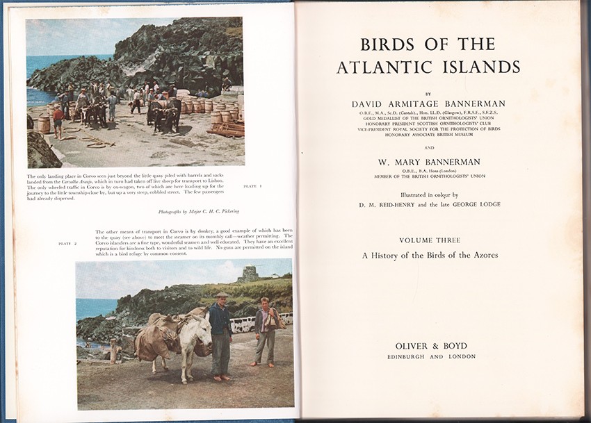 Birds Of The Atlantic Islands Auction 52