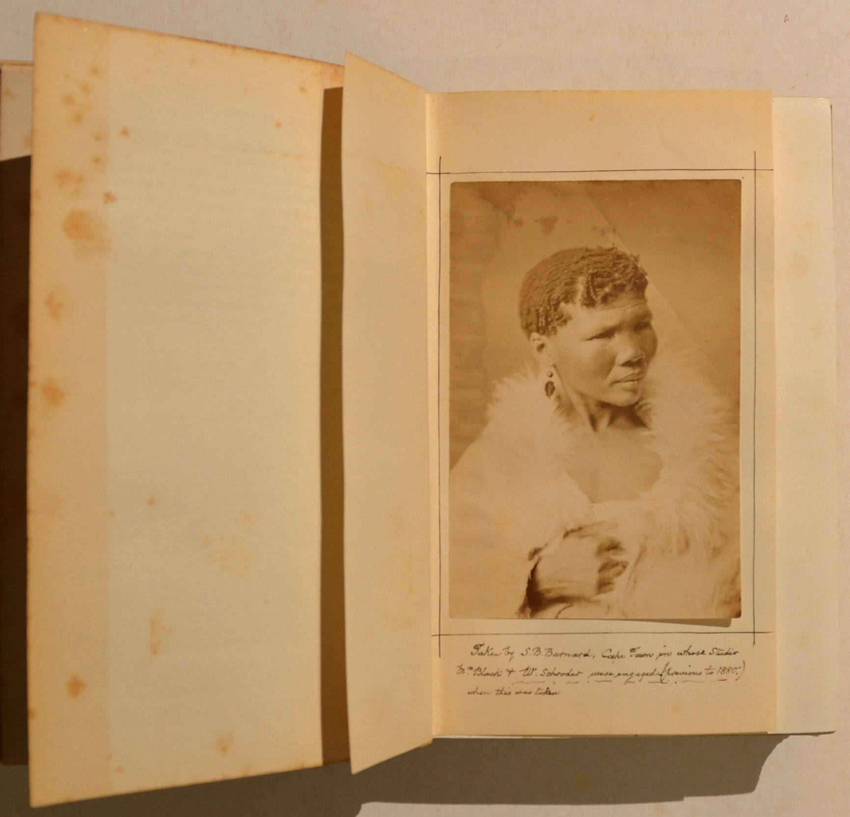 Specimens Of Bushman Folklore Interesting Association Copy With