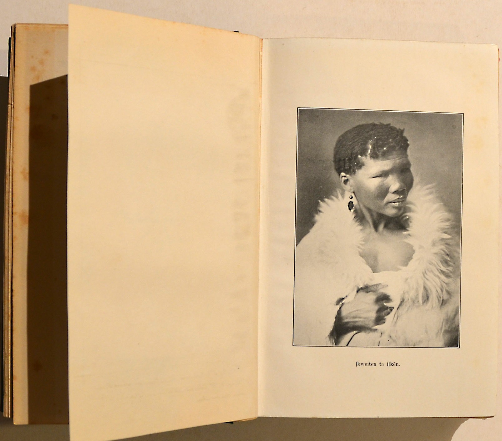 Specimens Of Bushman Folklore Interesting Association Copy With