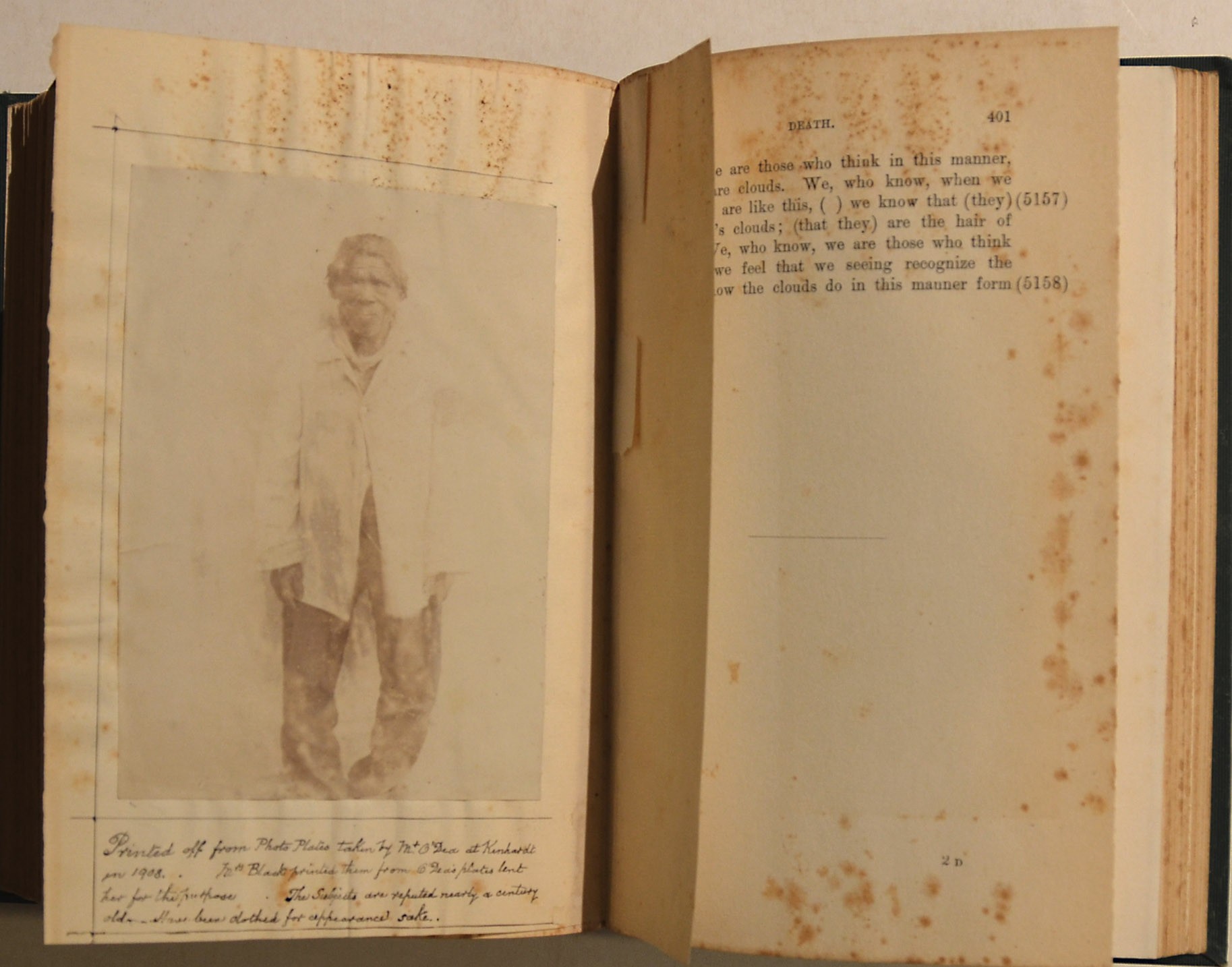 Specimens Of Bushman Folklore Interesting Association Copy With