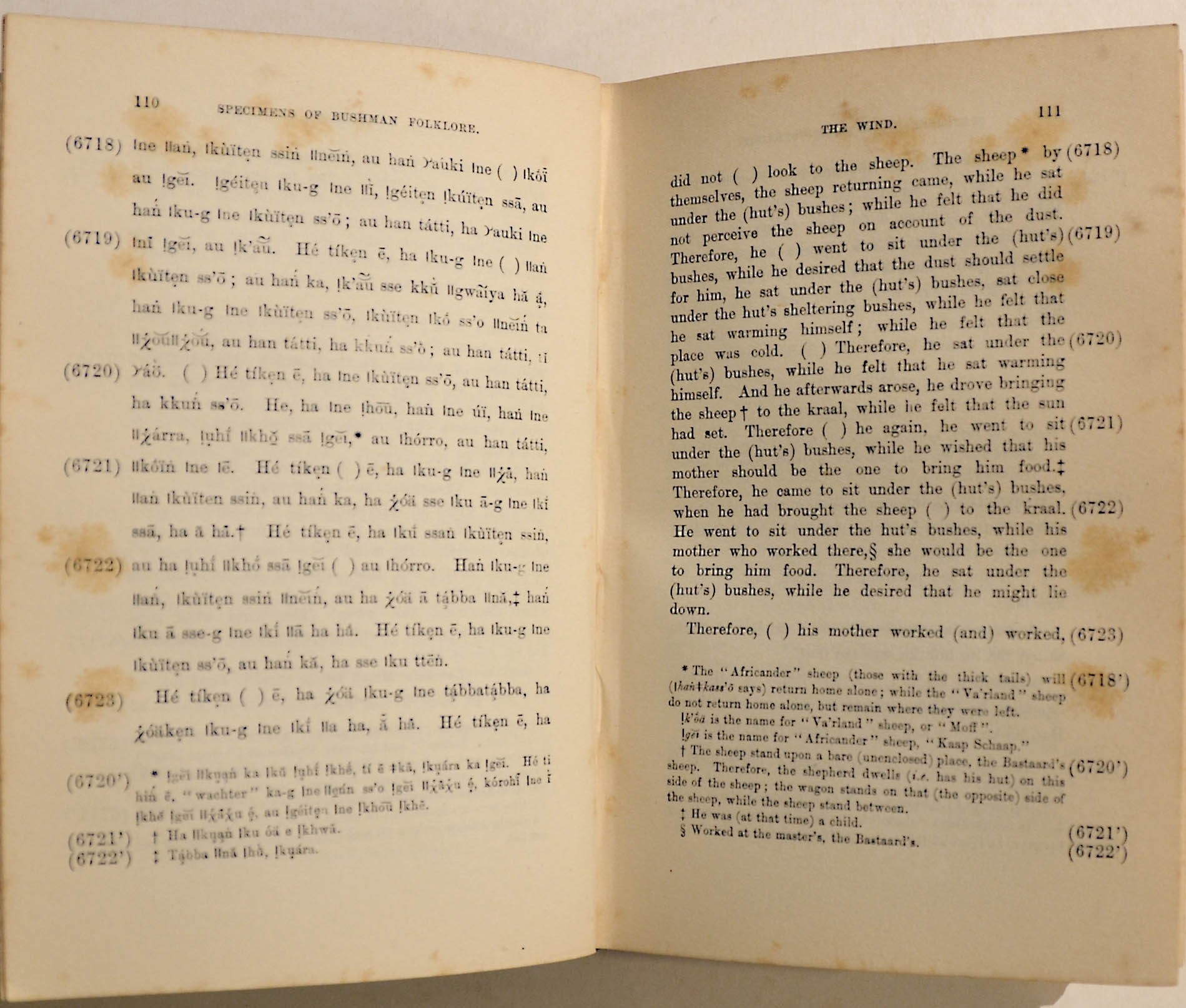 Specimens Of Bushman Folklore Interesting Association Copy With