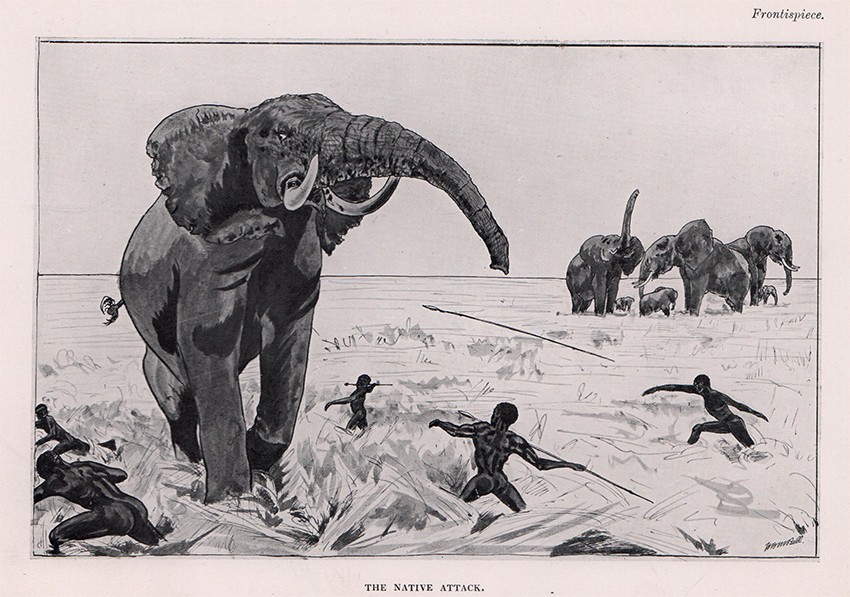 The Wanderings Of An Elephant Hunter Auction 72