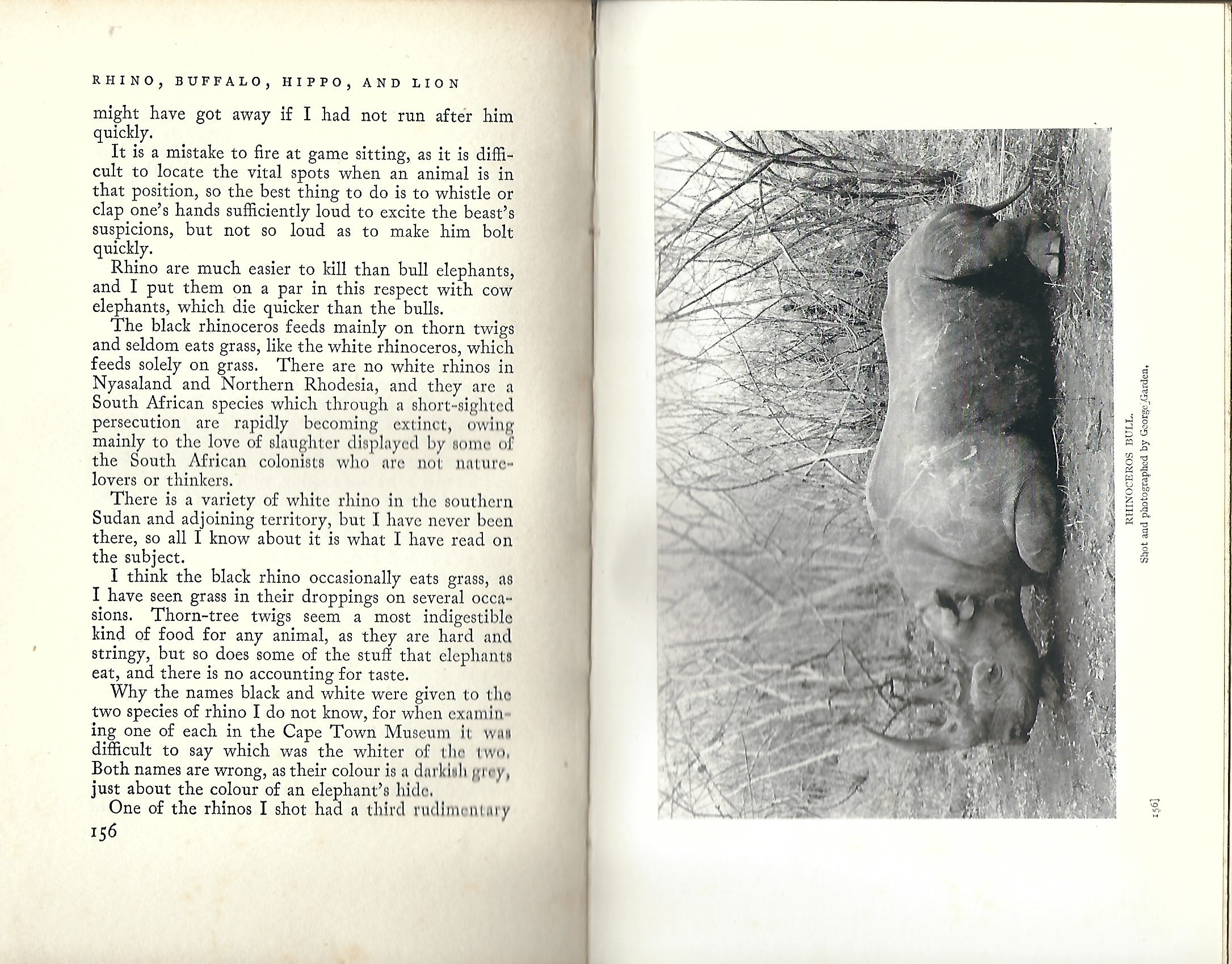 Memories Of An African Hunter With A Chapter On Eastern India - Denis D